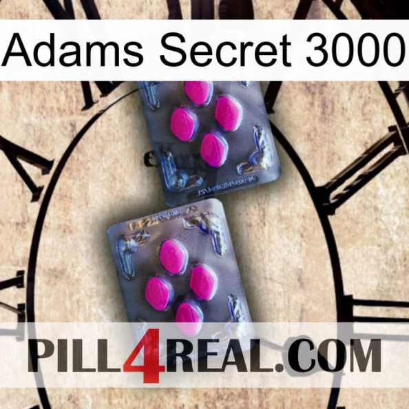 Adams Secret 3000 01.jpg